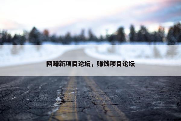 网赚新项目论坛，赚钱项目论坛