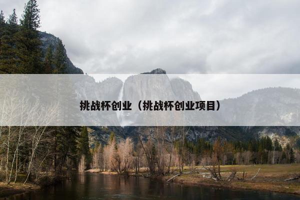 挑战杯创业（挑战杯创业项目）