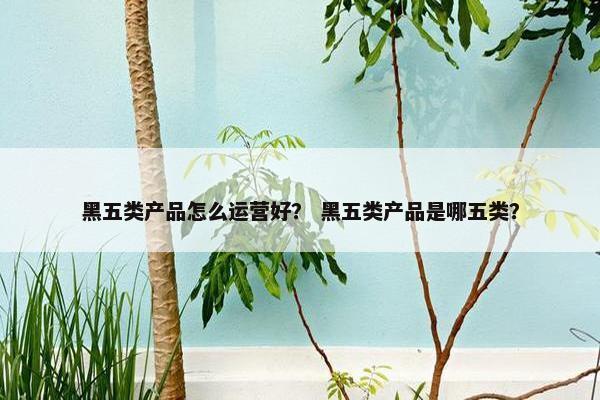 黑五类产品怎么运营好？ 黑五类产品是哪五类？