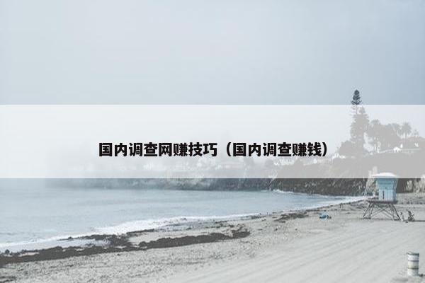 国内调查网赚技巧（国内调查赚钱）