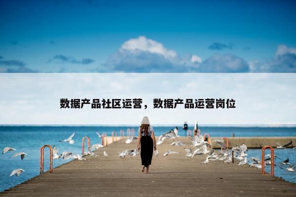 数据产品社区运营，数据产品运营岗位
