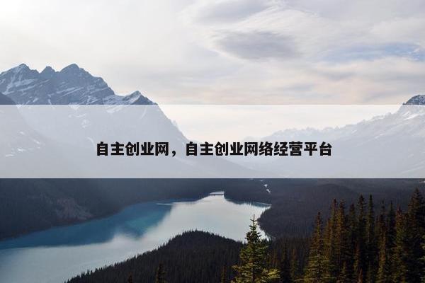自主创业网，自主创业网络经营平台