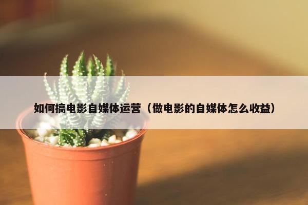 如何搞电影自媒体运营（做电影的自媒体怎么收益）