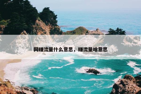 网赚流量什么意思，赚流量啥意思