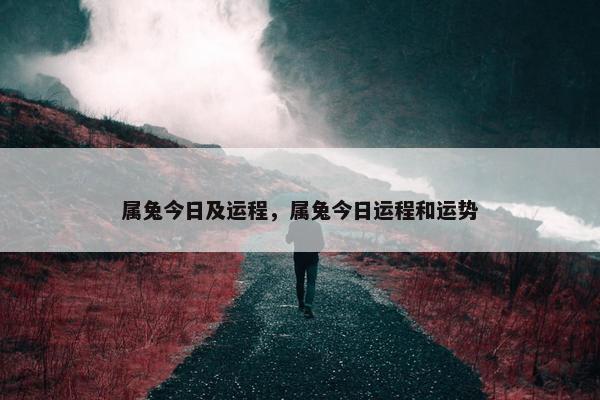 属兔今日及运程，属兔今日运程和运势