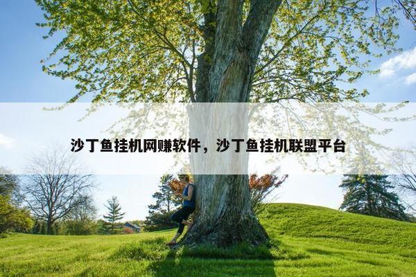 沙丁鱼挂机网赚软件，沙丁鱼挂机联盟平台