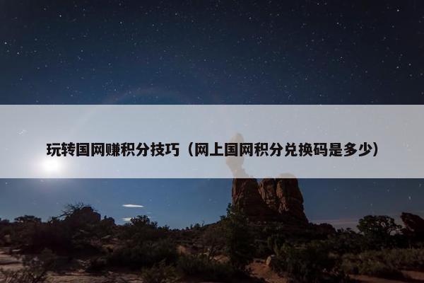 玩转国网赚积分技巧（网上国网积分兑换码是多少）