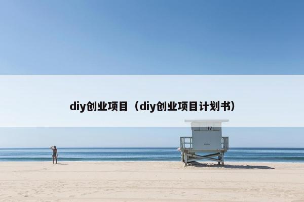 diy创业项目（diy创业项目计划书）