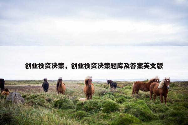 创业投资决策，创业投资决策题库及答案英文版