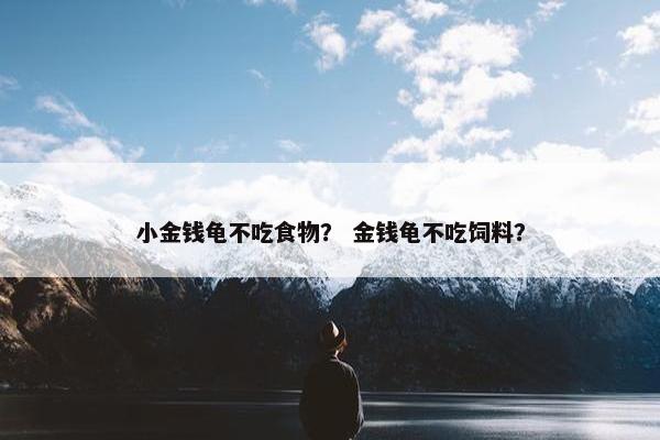 小金钱龟不吃食物？ 金钱龟不吃饲料？