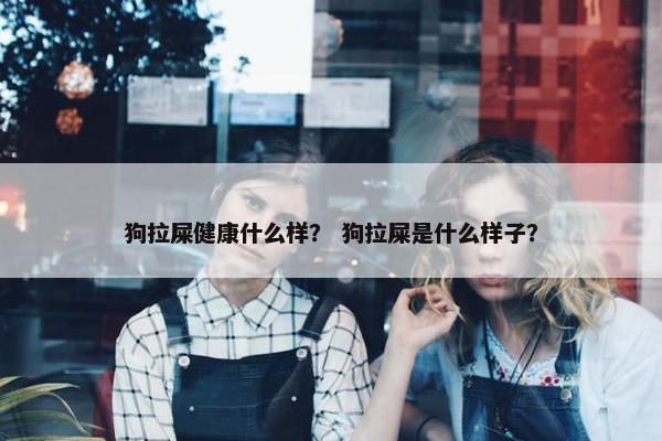 狗拉屎健康什么样？ 狗拉屎是什么样子？