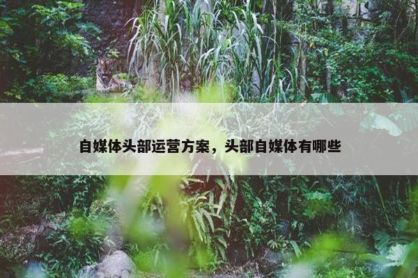 自媒体头部运营方案，头部自媒体有哪些