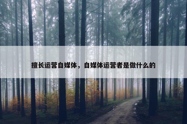 擅长运营自媒体，自媒体运营者是做什么的