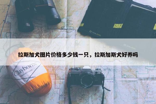 拉斯加犬图片价格多少钱一只，拉斯加斯犬好养吗