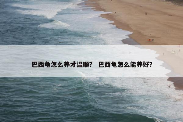 巴西龟怎么养才温顺？ 巴西龟怎么能养好？