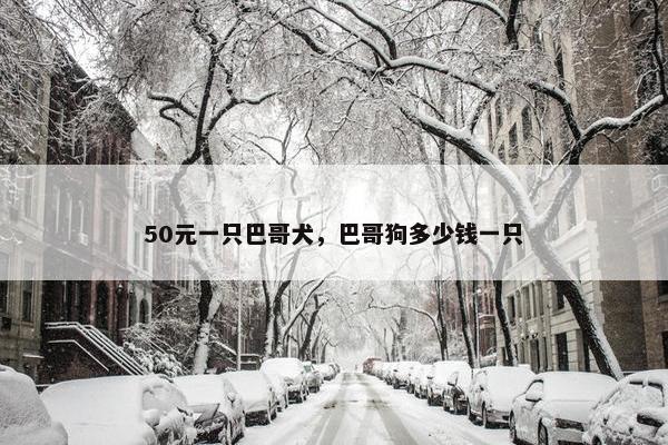 50元一只巴哥犬，巴哥狗多少钱一只