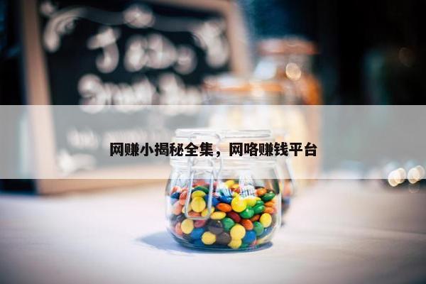 网赚小揭秘全集，网咯赚钱平台