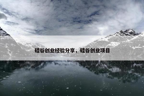 硅谷创业经验分享，硅谷创业项目