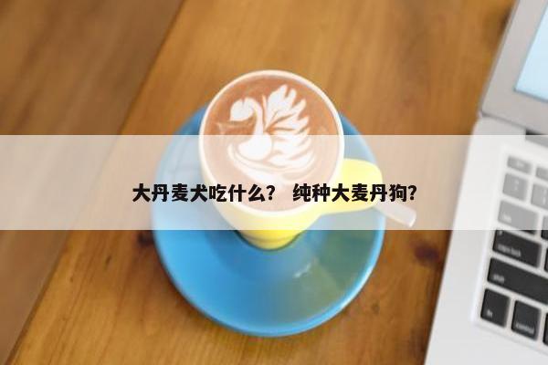 大丹麦犬吃什么？ 纯种大麦丹狗？