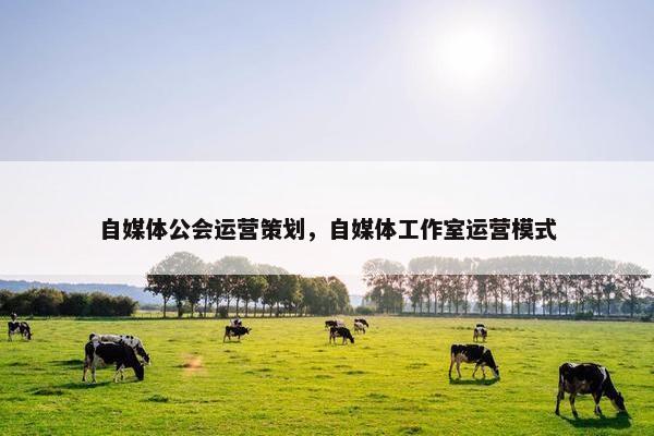 自媒体公会运营策划，自媒体工作室运营模式