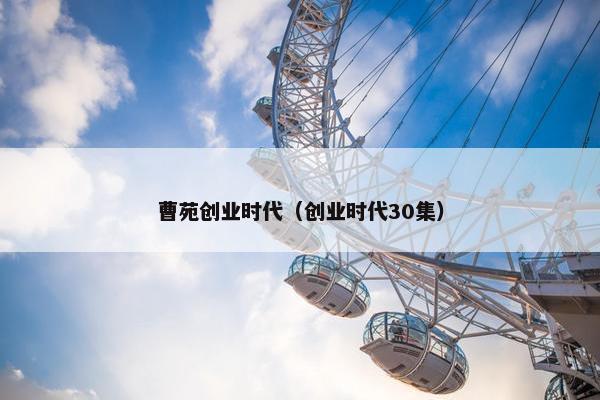 曹苑创业时代（创业时代30集）