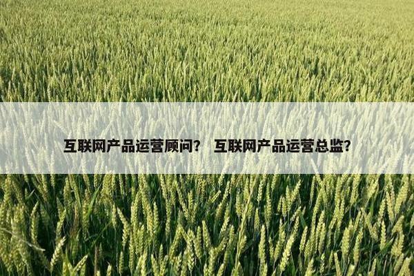 互联网产品运营顾问？ 互联网产品运营总监？