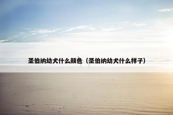 圣伯纳幼犬什么颜色（圣伯纳幼犬什么样子）
