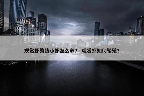 观赏虾繁殖小虾怎么养？ 观赏虾如何繁殖？