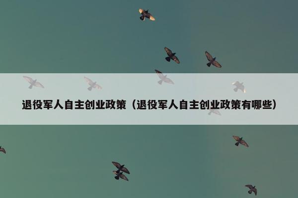 退役军人自主创业政策（退役军人自主创业政策有哪些）