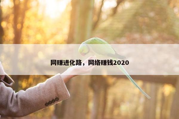 网赚进化路，网络赚钱2020