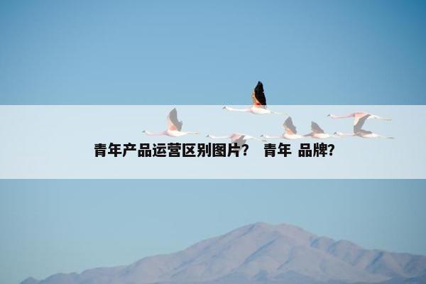 青年产品运营区别图片？ 青年 品牌？