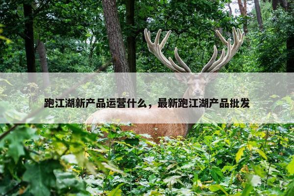 跑江湖新产品运营什么，最新跑江湖产品批发