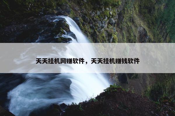 天天挂机网赚软件，天天挂机赚钱软件