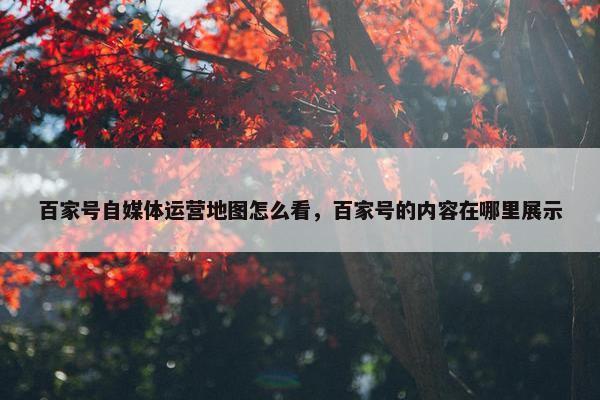 百家号自媒体运营地图怎么看，百家号的内容在哪里展示