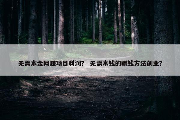 无需本金网赚项目利润？ 无需本钱的赚钱方法创业？