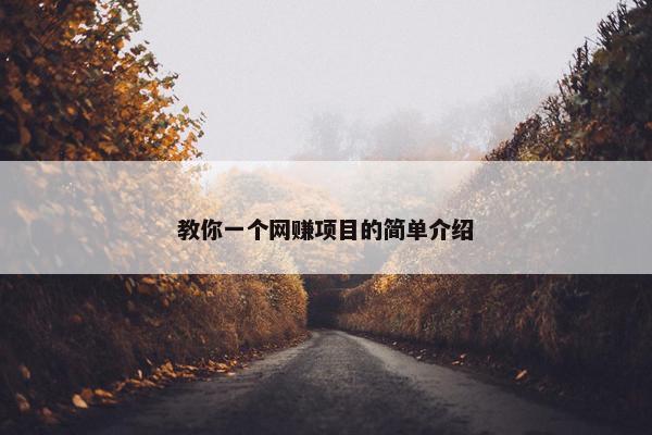 教你一个网赚项目的简单介绍