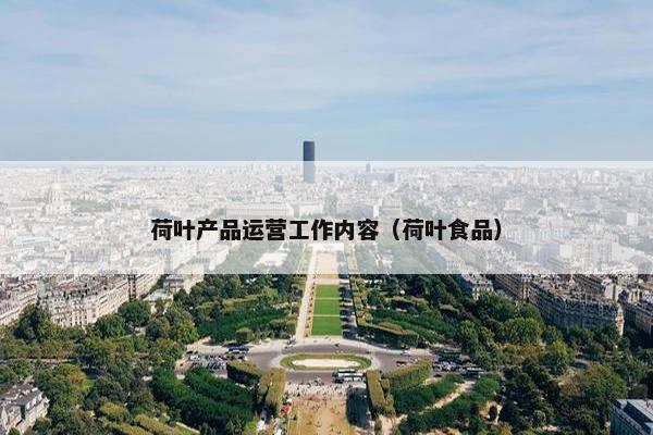 荷叶产品运营工作内容（荷叶食品）
