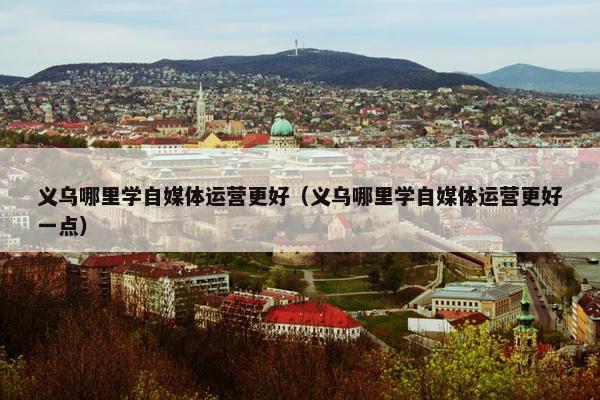 义乌哪里学自媒体运营更好（义乌哪里学自媒体运营更好一点）