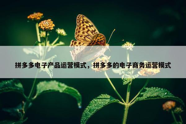 拼多多电子产品运营模式，拼多多的电子商务运营模式