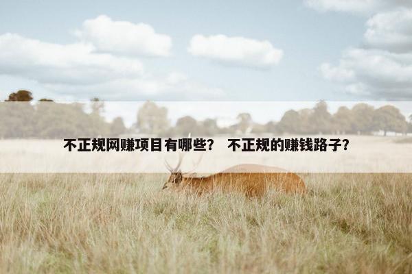 不正规网赚项目有哪些？ 不正规的赚钱路子？