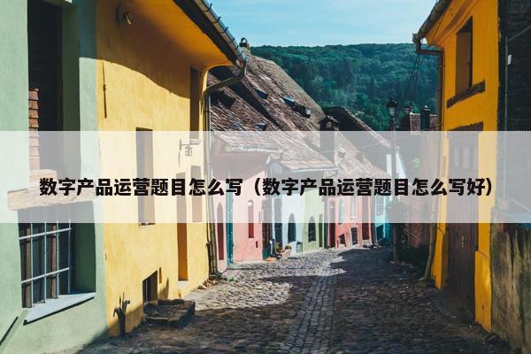 数字产品运营题目怎么写（数字产品运营题目怎么写好）
