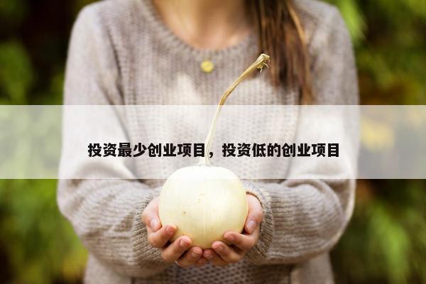 投资最少创业项目，投资低的创业项目