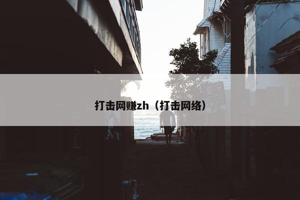打击网赚zh（打击网络）