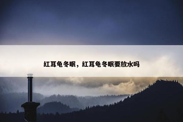 红耳龟冬眠，红耳龟冬眠要放水吗