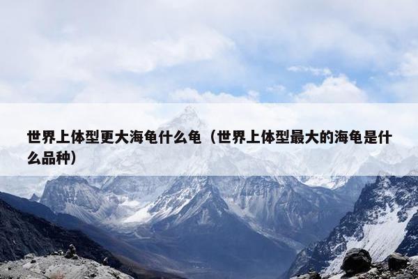 世界上体型更大海龟什么龟（世界上体型最大的海龟是什么品种）