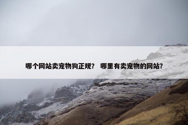 哪个网站卖宠物狗正规？ 哪里有卖宠物的网站？