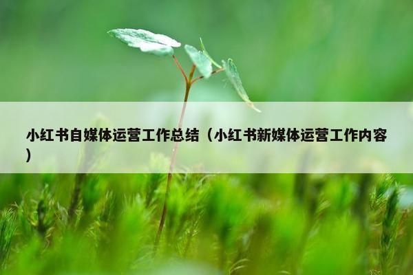 小红书自媒体运营工作总结（小红书新媒体运营工作内容）
