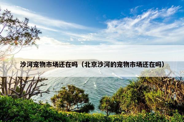 沙河宠物市场还在吗（北京沙河的宠物市场还在吗）