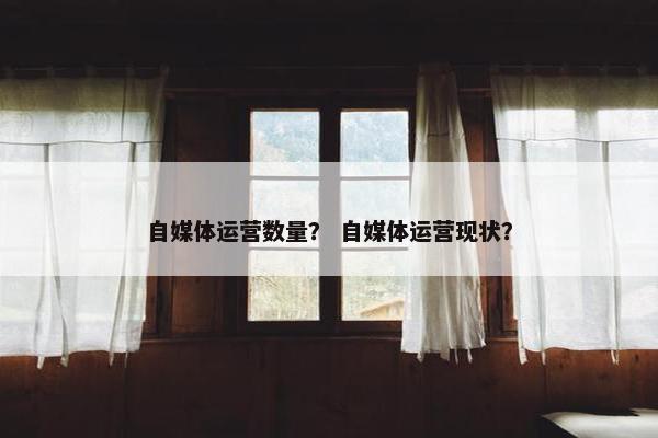 自媒体运营数量？ 自媒体运营现状？