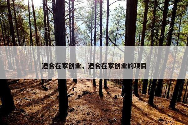 适合在家创业，适合在家创业的项目